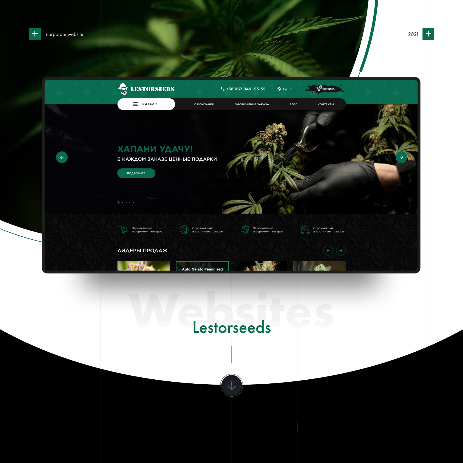 Разработка сайта для LESTORSEEDS